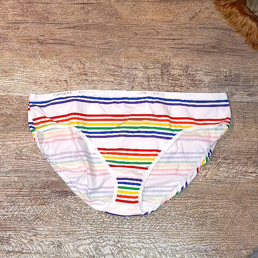 High leg hipster rainbow stripe panties new cacique brand
